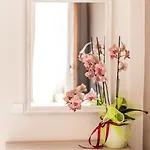 Guest house Orelia Garden - *