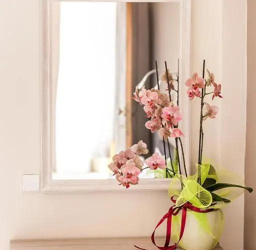 بيت ضيافة Orelia Garden - *